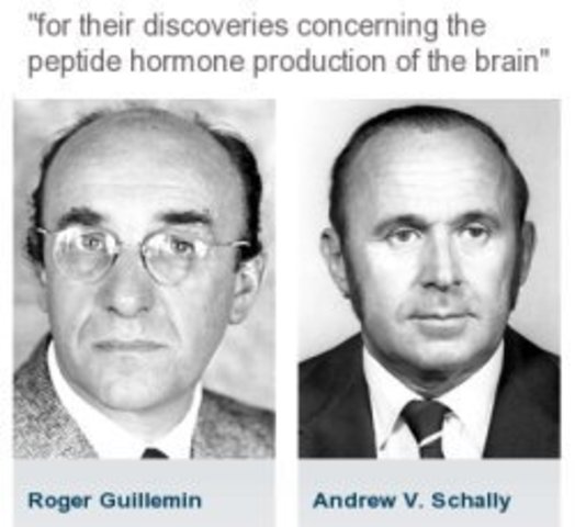 Roger Guillemin (1924 -) y Andrew Schally (1926 -)