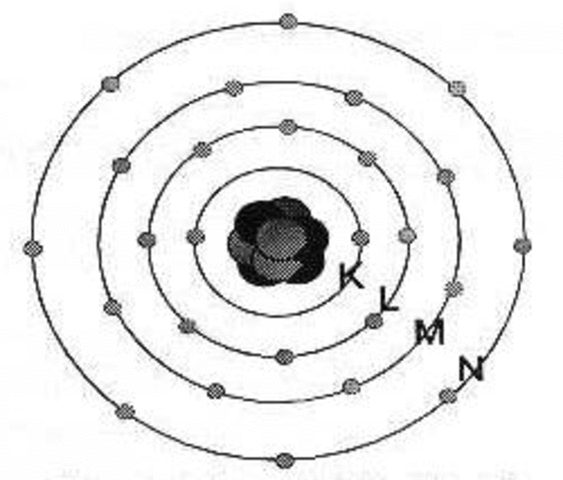 Bohr