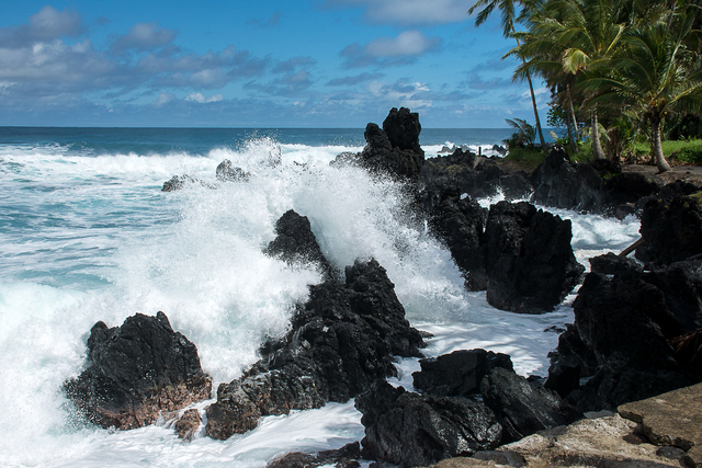 A Photo Exhibition & A Sold Photo