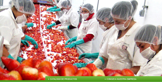 Se destaca la fabricación de productos alimenticios.