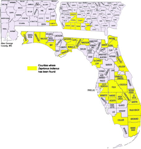 Flordia new territory