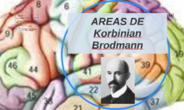 KORBINIAN BRODMANN (1868-1918)