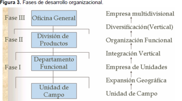 FASES DE DESARROLLO ORGANIZACIONAL