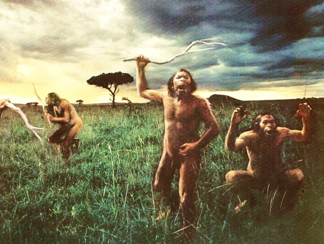 Comunicación primitiva