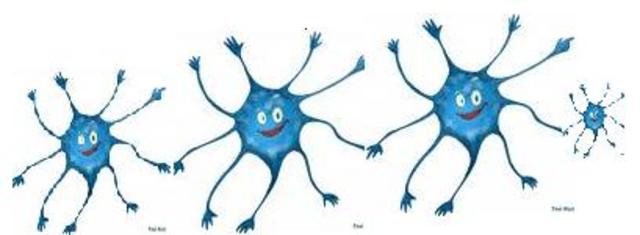 ¿Cuando ocurrió la primera agrupación  de neuronas ?