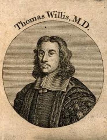 Thomas Willis (1621-1675). Publicación de "Cerebri Anatome", primer análisis funcional de las partes del cerebro. Introdujo término "neurología".