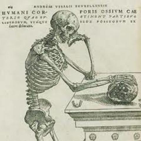 Vesalio