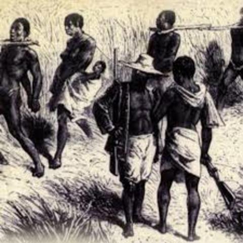 TRANSFORMACIÓN AGRÍCOLA EN COLOMBIA