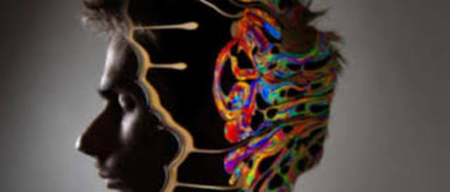 Ramas de las neurociencias