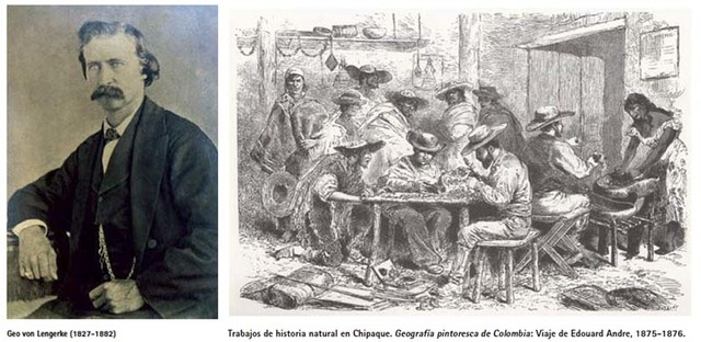 EL AÑIL EN COLOMBIA