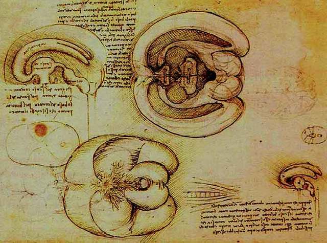 Epoca antigua/ egipcios