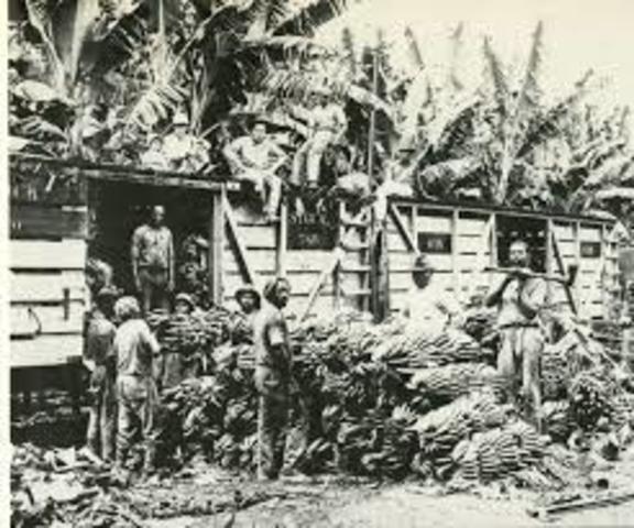 BANANO: UNITED FRUIT COMPANY