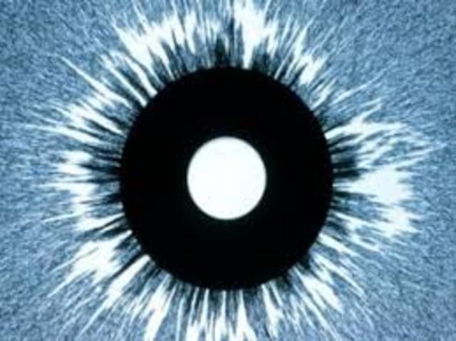 Monopolios magnéticos