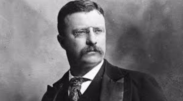 Theodore Roosevelt Becomes President