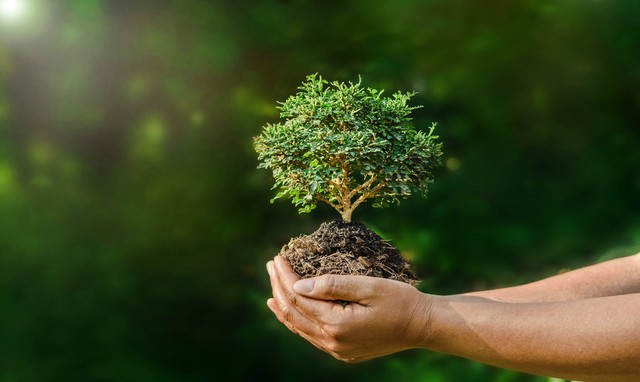 La naturaleza se regia por designios divinos que trascendían a toda acción humana