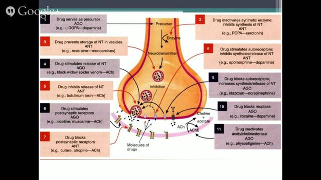 Claude Bernard (1813-1878), Paul Ehrlich (1854-1915), John Langley (1852-1925) "las drogas no interactúan de manera inespecífica con las células, sino  que tienen preferencia por receptores ubicados en la membrana celular" (Moreno, 2018, p.12).