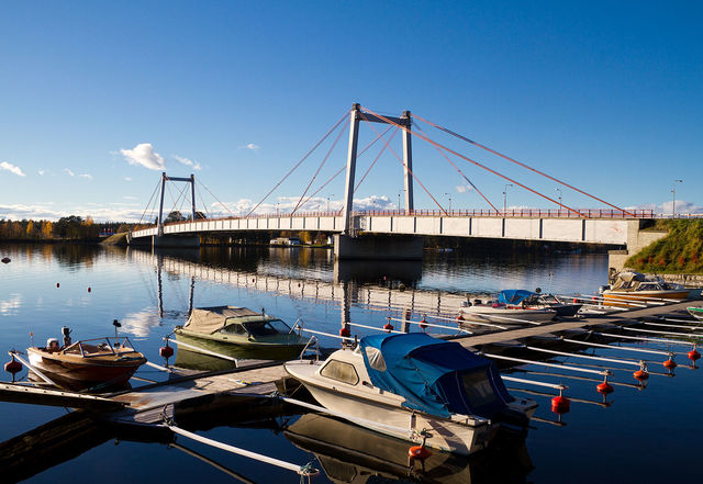 cable-stayed bridges evolved