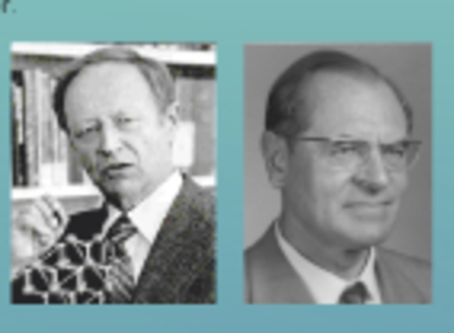 Herbert Mataré y Heinrich Welker