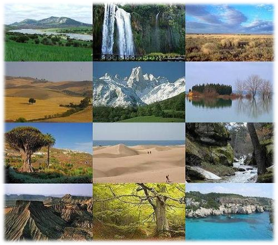 Se elaboraron monografías de regiones concretas y delimitadas por las actividades económicas dependientes de los recursos naturales con los que se trabajaba