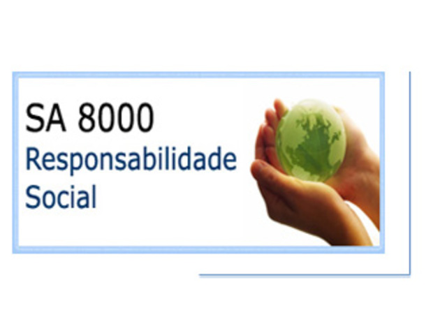 Elaboración de la Norma S.A 8.000