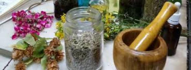 Herbolaria en la medicina veterinaria