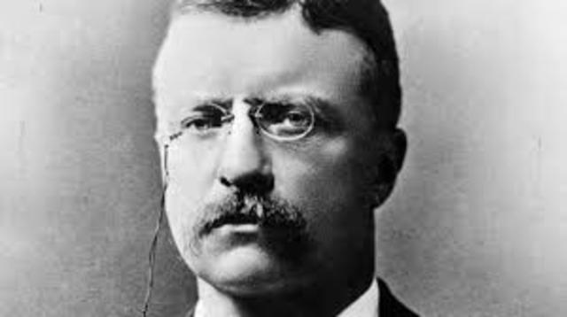 Theodore Roosevelt Becomes President