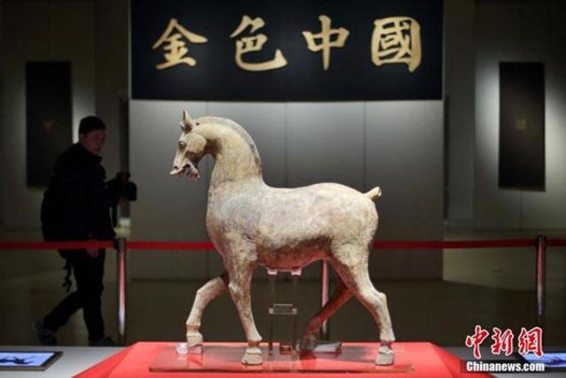 China abandona la medicina veterinaria