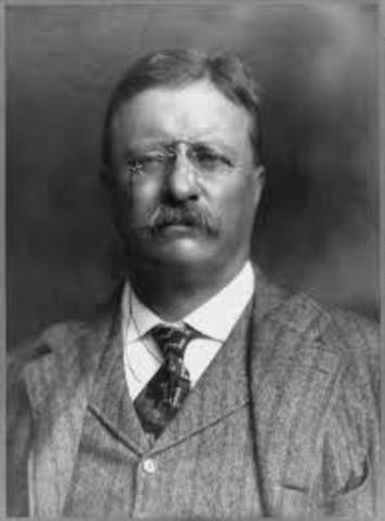 Theodore Roosevelt becomes President