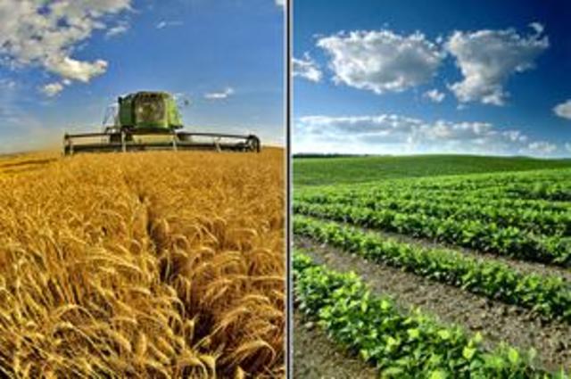 Empresas agrícolas y ganaderas