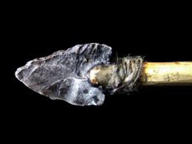 Arcos flechas y arpones