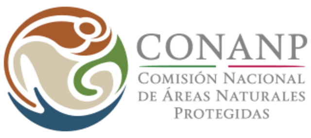 apareció el programa nacional de áreas protegidas federales dirigidos a los sectores sociales involucrados en operación, manejo y administración de AP.