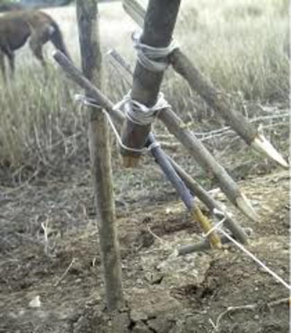 Invento trampa cabros