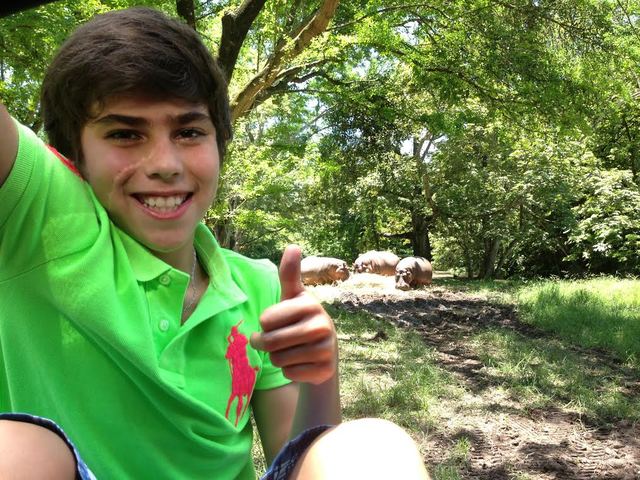 Mi primer Zoológico en Ruedas