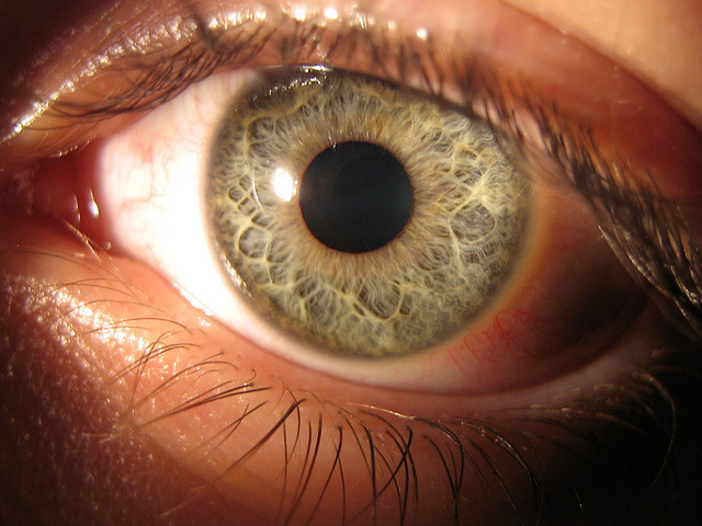 Acceptation in Manchester's Literay and Philosophical Society