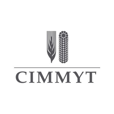 Se crea el CIMMYT