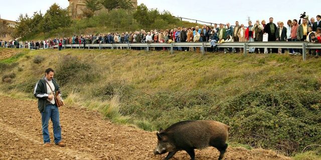 Alta demanda turística en espacios rurales