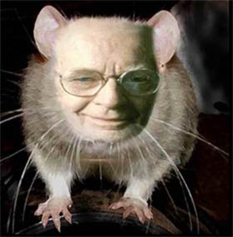 Skinner's idea of imitation and practice