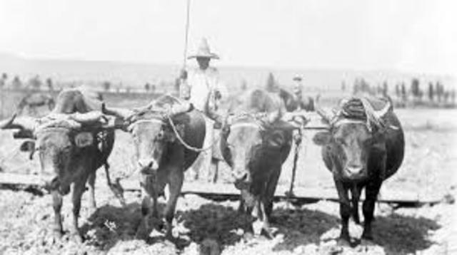 Comisión Nacional Agraria.