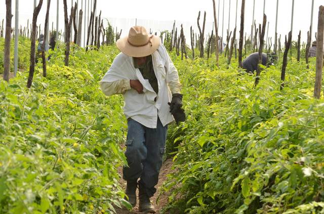 Proyecto de Desarrollo de Pequeños Productores Agropecuarios. (PROINDER)