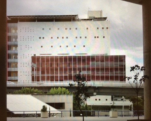 Inicio de la Venta y Especificación