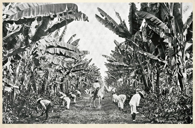 Se crea la Comisión Nacional Agraria