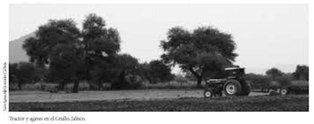 El "Componente Privado Ejido"