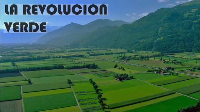 Las Políticas y Programas de Desarrollo Rural