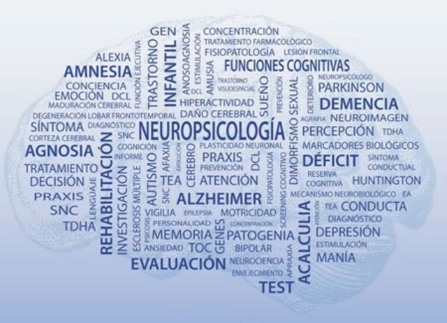 Definición y objetivos de la neuropsicología