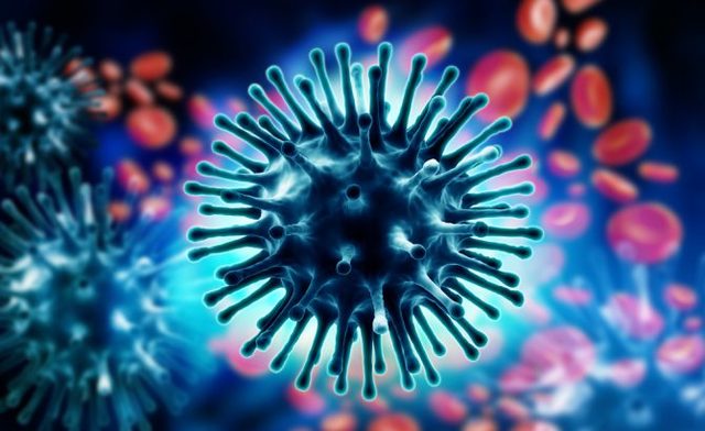 Descubrimiento de Virus