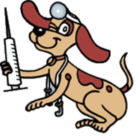 Vacunación Antirrábica Canina