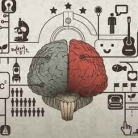Surge la Neuropsicología Cognoscitiva