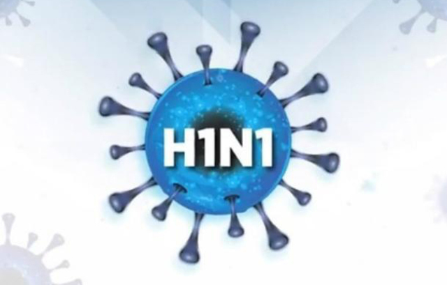 H1N1