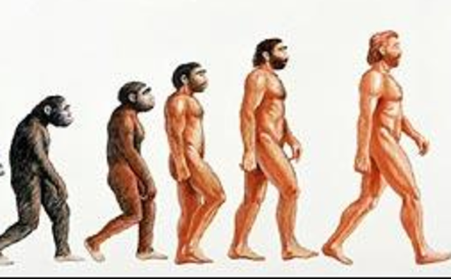 Surgimiento de homínidos