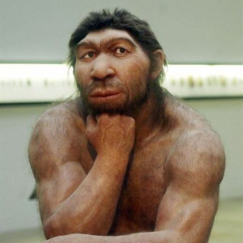 Homononeanderthalensis